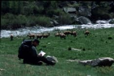 La storia di Sultano per celebrare la Giornata della Terra - VIDEO