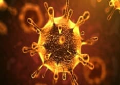 CORONAVIRUS IN CANAVESE - Aumentano i positivi a Ivrea e Chivasso. In Piemonte il totale ha raggiunto i 300 morti - LA MAPPA
