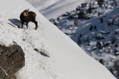 SPARONE -  Il Lions Club Alto Canavese presenta la pubblicazione annuale