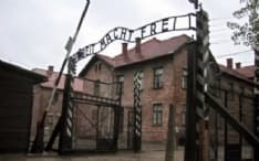 Il bolso pensiero pentastellato