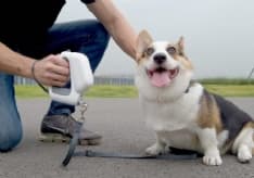 PET - Il guinzaglio multifunzione