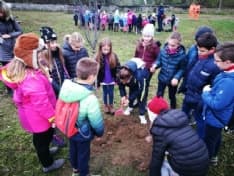 CUORGNE' - I bimbi hanno piantato nuovi alberi all'arcipelago dello sport