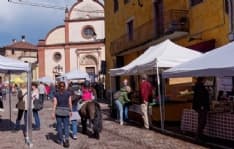 CANAVESE - Per il Festival della Reciprocità, da Torino ad Agliè, San Giorgio e Castellamonte con la corriera