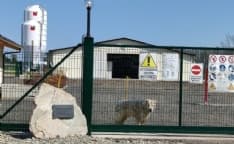 MONTALENGHE - Maxi allevamento di polli: i sindaci di San Giorgio e San Giusto sono pronti alle barricate per dire «No»