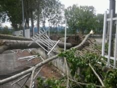 CANAVESE - Maltempo e forte vento: giù alberi e lamiere. Danni a Ivrea. Decine di chiamate ai vigili del fuoco