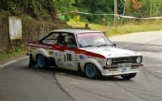 RALLY - Rally Lana Storico: soddisfatti i fratelli eporediesi Alessandro e Alessio Meneghetti