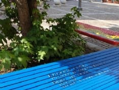 VOLPIANO - Panchine del Centro Jolly sul valore della diversità