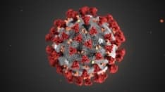 CORONAVIRUS - Ordinanza di Regione e Ministero: scuole chiuse e nessuna manifestazione pubblica fino al 29 febbraio