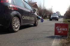 MONTALENGHE - Capriolo investito e ucciso verso Foglizzo