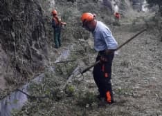 CANAVESE - Valchiusella e Dora Baltea: il lavoro degli operai forestali