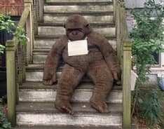 TREND - A caccia dei mobili lasciati per strada