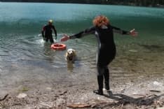 CERESOLE REALE - Cani da salvataggio nelle acque del lago - FOTO e VIDEO