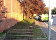 RIVAROLO - Marina Vittone: «Fermate il taglio degli alberi»