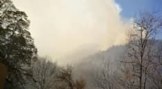 CANAVESE - Allerta incendi: bruciano i boschi sopra Ribordone. Il forte vento alimenta il fuoco