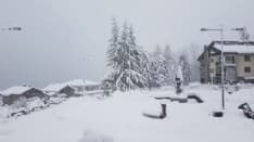 CERESOLE REALE - Nevica nel Parco nazionale del Gran Paradiso - FOTO
