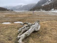 CANAVESE - Allarme siccità: lago di Ceresole al minimo, torrenti ai livelli di agosto - FOTO