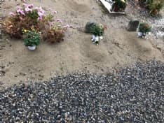 BAIRO - Il sindaco porta i fiori sulle tombe dei cittadini che non hanno più nessuno che se ne occupi