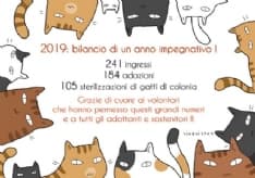 GATTILE DI IVREA - 2019, il bilancio di un anno impegnativo