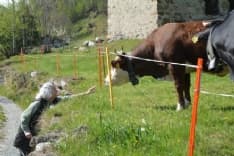 TRAVERSELLA - I nonni della casa di riposo trovano sorrisi in gita