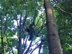 BROSSO - Parapendista precipita dal monte Cavallaria dopo il decollo e resta appeso ad un albero - FOTO