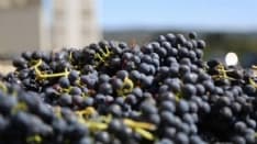 COVID - La Regione chiede di intensificare i controlli sulla manodopera estera