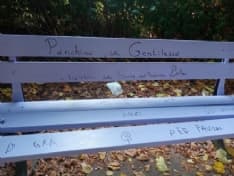 SAN BENIGNO - Una panchina viola per creare ponti intergenerazionali