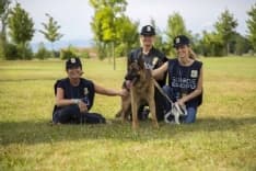 TORINO E PROVINCIA - Aperte le iscrizioni al corso gratuito per guardie zoofile Oipa