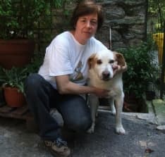 PONT CANAVESE - Il piccolo canile rischia di chiudere