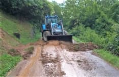TEMPORALI IN CANAVESE - Raffica di alberi abbattuti dal vento, interventi dei vigili del fuoco - FOTO