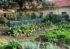 CUORGNE' - Uno spazio restituito alla collettività: l'orto giardino sociale ha dato i suoi frutti - FOTO