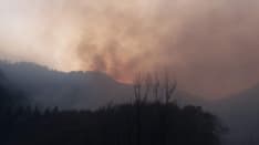 ALLARME INCENDI - Fiamme, fumo e aria irrespirabile: il Canavese nella morsa dei piromani - FOTO