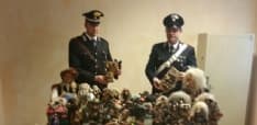 VIALFRE' - Rubano 30 mila euro di elfi, fate e folletti: tre persone denunciate - FOTO