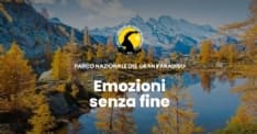 GRAN PARADISO - Parco senza presidente, interviene Novaria