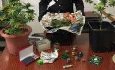 FAVRIA - Coltiva marijuana in casa: sedicenne denunciato dai carabinieri di Rivarolo - FOTO