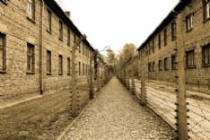 VOLPIANO - Giornata della Memoria e Giorno del Ricordo, eventi online