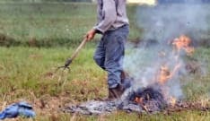 CANAVESE - Sulla legge abbruciamenti agricoli Legambiente dice No