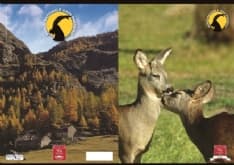 PARCO GRAN PARADISO - Tutta la bellezza del Parco sui quaderni scolastici Pigna