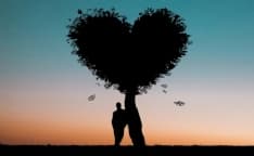 PSICOLOGIA – Honjok, una vita da solisti