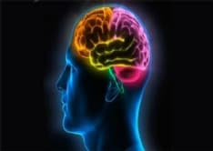 Il cervello bugiardo