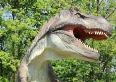 BORGARO - Al parco Chico Mendes arrivano i dinosauri