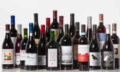 WINE - Venti vini straordinari a meno di 20 euro - FOTO