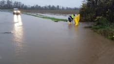 CANAVESE - Maltempo, per Coldiretti danni enormi all'agricoltura