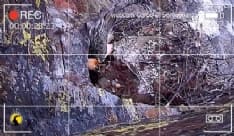 PARCO GRAN PARADISO - Sono nati (in diretta tv) Neige e Pequioù - VIDEO