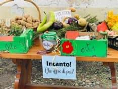 CUORGNE' - Rata.tu: in un anno recuperati e donati 70 mila chili di alimenti e aiutate 70 famiglie - FOTO