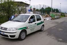 AGLIE' - Idiota butta un gatto nel cassonetto ma il micio sopravvive