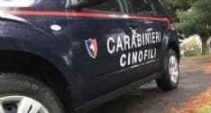 OMICIDIO DI CASTELLAMONTE - Perquisita dai carabinieri la casa di Obert: nessuna traccia di soldi e pistola