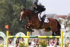 VESTIGNE' - Ragazza cade da cavallo: grave al Cto