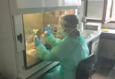 IVREA - Il laboratorio analisi dell'Asl To4 entra a far parte della rete regionale dei laboratori che eseguono i test covid-19