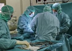 RIVARA - All'ospedale Molinette di Torino il primo trapianto di fegato tra due pazienti positivi