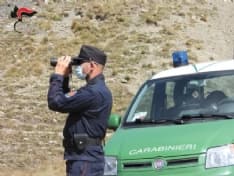 CANAVESE - Cacciatori non autorizzati nei comprensori alpini: multe per 6800 euro